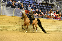 85 A HA/AA Country Pleasure AATR 55 & over