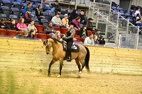110 AHA Western Horsemanship Medal JTR