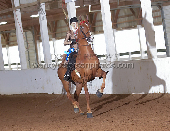 032_2093-Do_not_copy_PROOF