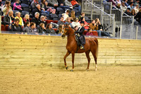 89 Saddle Seat Equitation Walk Trot 10 & Under