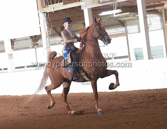 032_2094-Do_not_copy_PROOF