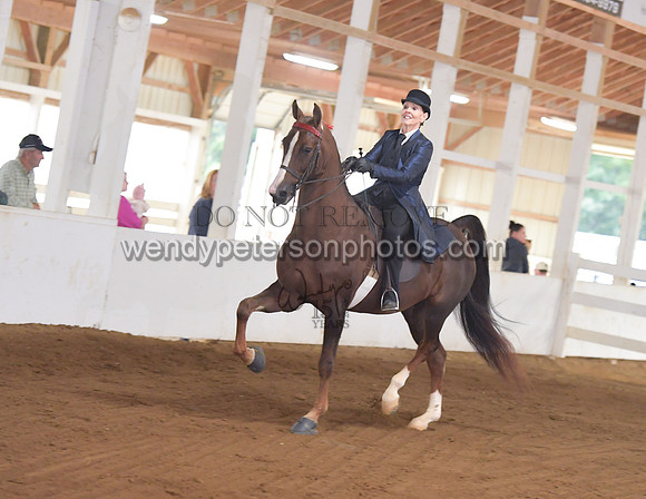 032_2074-Do_not_copy_PROOF