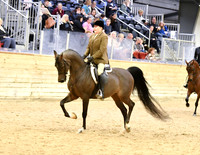 57 PB Hunter Pleasure ATR Select Rider
