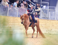 36 HA/AA Western Pleasure JOTR