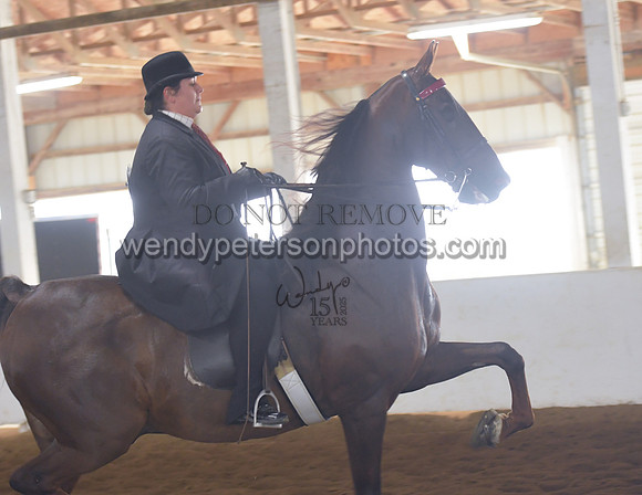 010_1815-Do_not_copy_PROOF