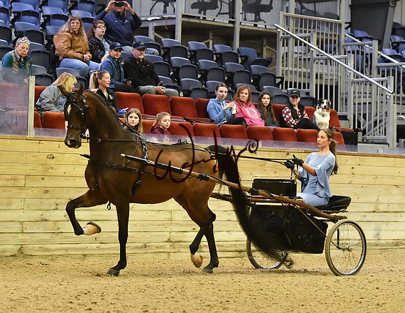 001_6255-Do_not_copy_PROOF