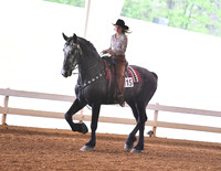 39. W/T or Jog Pleasure, Adult Am./Jr. Exh. Champ. (W/E) (Any Breed)