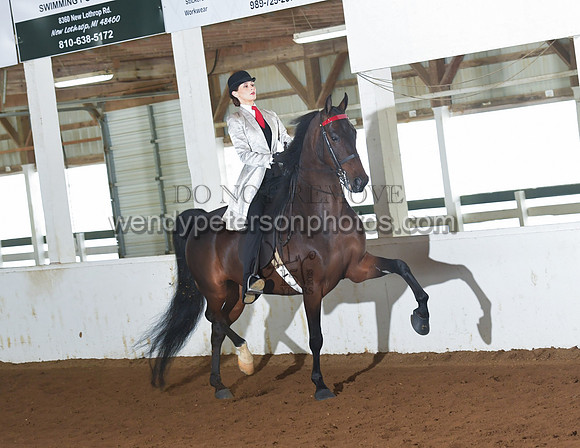 050_2300-Do_not_copy_PROOF