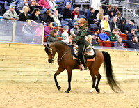 65 HA/AA Western Pleasure JTR