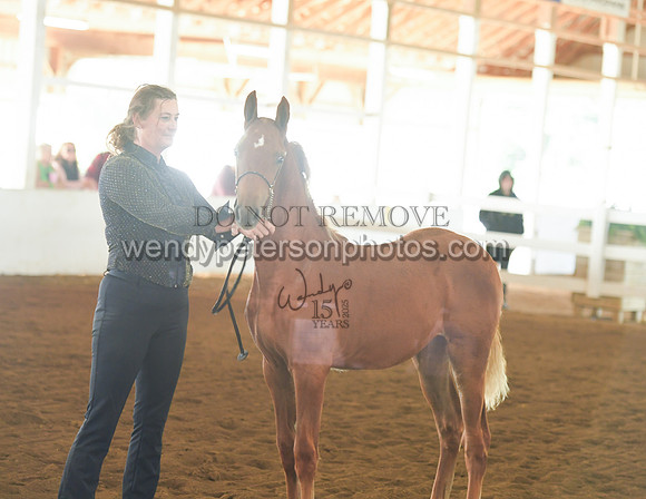 075_2251-Do_not_copy_PROOF