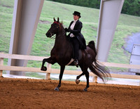 58. ASB Three-Gaited Park, Adult Am./Jr. Exh.