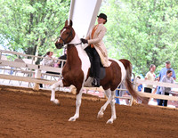 53. ASB Three-Gaited English Country Pleasure, Jr. Exh.