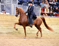 27 HA/AA Country English Pleasure JOTR