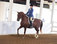 026 ASB Saddle & Bridle Hunt Seat Classic
