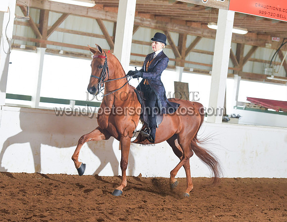 066_2375-Do_not_copy_PROOF