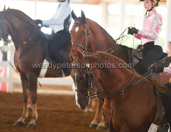 084_2545-Do_not_copy_PROOF
