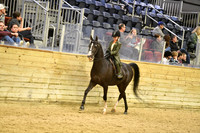 119 UPHA Arabian Breeds Challenge Cup W/T 10 & Under