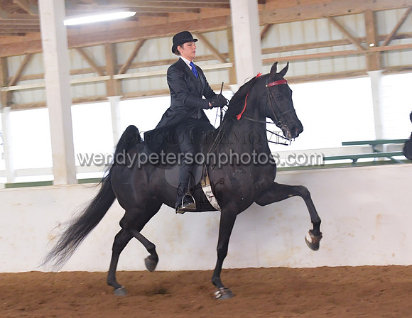 046_2163-Do_not_copy_PROOF