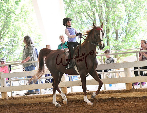075_1333-Do_not_copy_PROOF