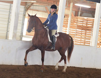023 Cob Open Hunt Seat Pleasure