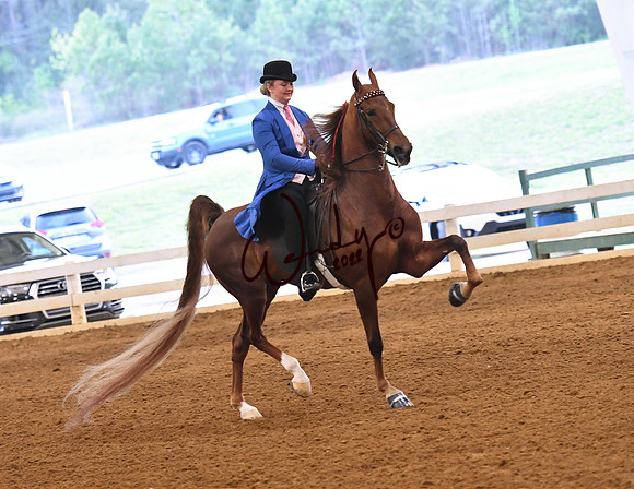 098_2174-Do_not_copy_PROOF