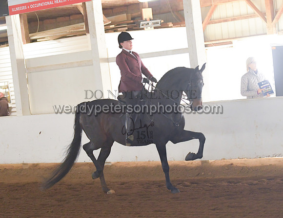 002_1529-Do_not_copy_PROOF