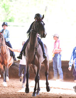 77. Academy Equitation W/T, Riders 8 & Under