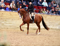 25 HA/AA Hunter Pleasure Open