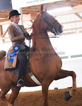 032_2095-Do_not_copy_PROOF