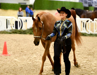 50 Halter Showmanship AATH