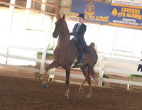 010 Cob Open English Pleasure