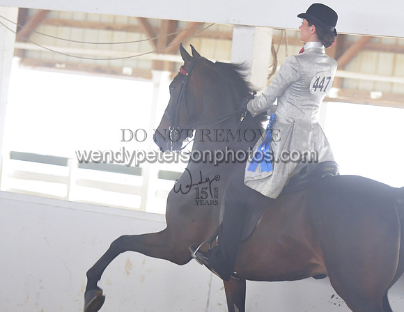 007_1698-Do_not_copy_PROOF