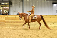 113 HA/AA Western Pleasure AATR 40 & Over
