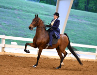 101. ASB Five-Gaited English Country Pleasure, Adult Am./Jr. Exh. Champ