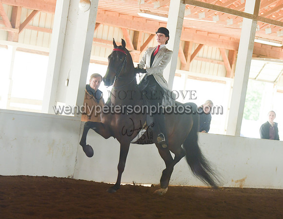 050_2291-Do_not_copy_PROOF