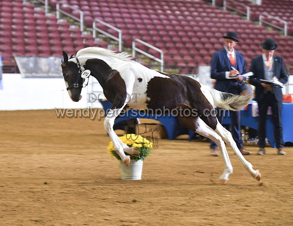 2026BPANA10-7009-Do_not_copy_PROOF