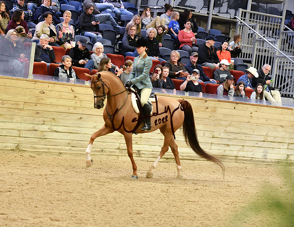014_6535-Do_not_copy_PROOF