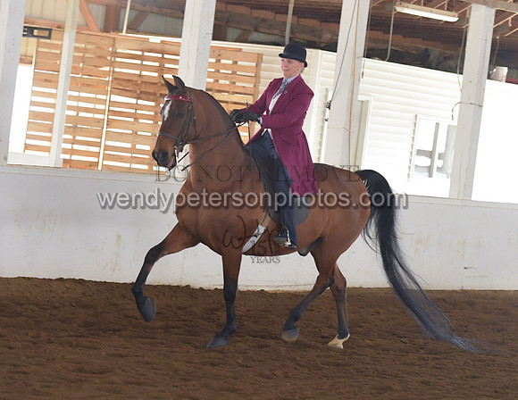 008_1703-Do_not_copy_PROOF