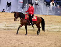 19 PB Western Pleasure AATR 19-39
