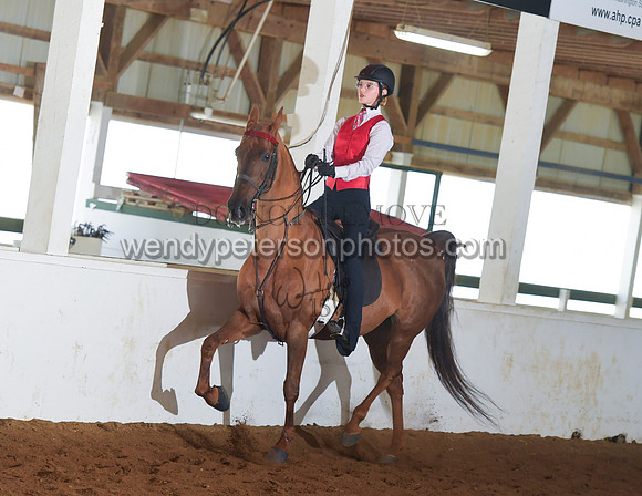 084_2521-Do_not_copy_PROOF