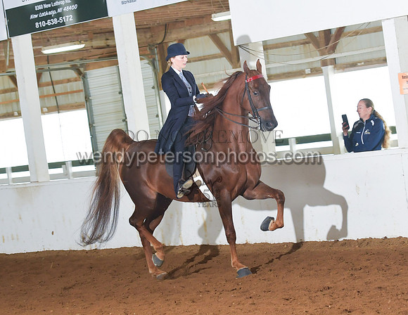 066_2379-Do_not_copy_PROOF