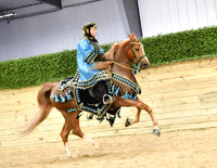 61 HA/AA Mounted Native Costume Open