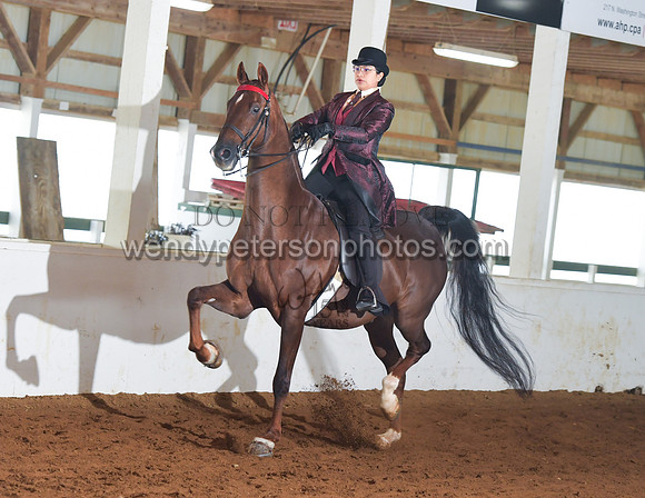 066_2376-Do_not_copy_PROOF