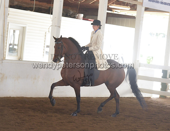 010_1763-Do_not_copy_PROOF