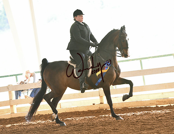 086_1794-Do_not_copy_PROOF