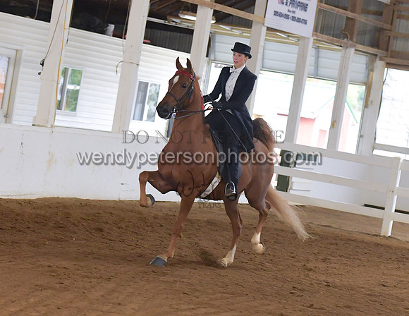 035_2118-Do_not_copy_PROOF