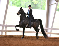 48. ASB Three-Gaited Park Pleasure, Open