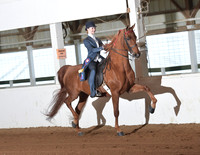 105 Saddleseat Eq 17U Championship