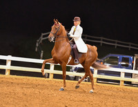 107. ASB Three-Gaited English Show Pleasure, Adult Am. Champ.