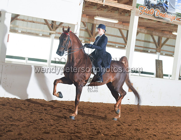 066_2373-Do_not_copy_PROOF